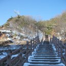 붕어섬 식당 이미지