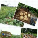 현덕농장 이미지