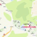 온누리새소망약국 이미지