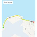 팜파스호텔제주 | [제주] 팜파스호텔 제주 / 내돈내산 / 공항 가까운 숙소 / 제주 가성비 호텔 / 용두암 러닝