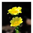 보수초등학교 이미지