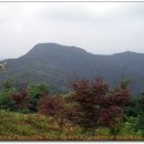 목상초교 이미지