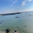 송가네 바다별장 이미지