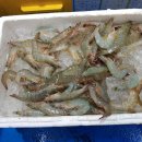 삽교복권방 네이버블로그