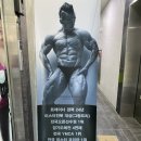 SH휘트니스 이미지