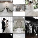 스튜디오비오스 | W3-1 | 창원·부산 본식 스냅 업체 견적 및 비교하기