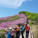 5월 황매산 철쭉(금요산악회) 이미지