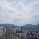 반송중교 네이버블로그