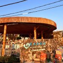 카르디아 | 발리 길리 트라왕안 서쪽 선셋 숙소 카르디아 리조트 내돈내산 후기