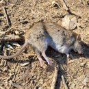 중천농장 이미지