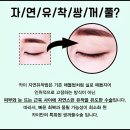 카이성형외과의원 이미지