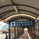 한일매점 | 한일고속페리 '실버클라우드호' 3등 객실 내돈내산 탑승 솔직 후기:) 완도->제주 2시간 40분