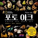 지음포토