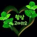 2월10일화요일 충방 출석부 이미지
