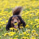 봄앤동물병원 이미지