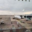 동백키즈약국 | 세 아이와 제주도 여행 9박10일 일정 에필로그