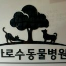 가로수동물병원 이미지