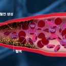 오혜숙생활단식채비지사 - 창원시 성산구 중앙대로 89 | 오혜숙생활단식채비지사