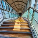 삼육고등학교 이미지