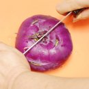 지아 농장 이미지