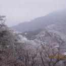 개굴개굴 이미지