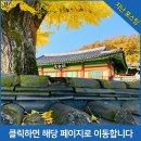 BHC(충북영동점) 네이버블로그