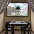 제주청년돼지 이미지