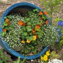 시청공원 이미지