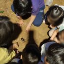 가족근린공원 이미지