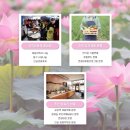 반야월연꽃마을협동조합 이미지