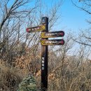 초평생활체육공원 이미지