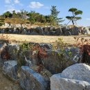 삼랑진중고등학교 이미지