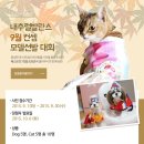 발란스9 - 8391 | 발란스9