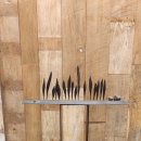 아르볼꼴렉 이미지