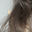 주식회사 닥터이오 | 닥터오레고닌 비건 트리트먼트 두피케어 솔직 후기