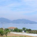 금알공인중개사사무소 이미지