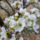 천수농원 이미지