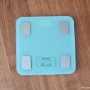 닭이소 | 와사비잎추출물 소우코우 이소비텍신 공복다이어트