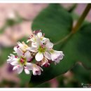 마음의 양식 이미지