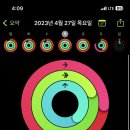 크로스핏 카키 이미지