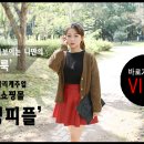 다은니트 이미지