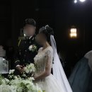 플레드플라워