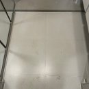 크린오포 이미지