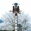 천하대장군 이미지