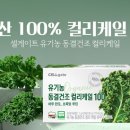케일 - 양천구 공항대로 594 | 케일