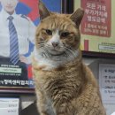브니엘 | [가좌] 공임나라 엔진오일 교체 후기, 공임나라 인천가좌점