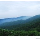 그린제일목장 이미지