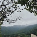 가둘기정원 꽃넘이 이미지