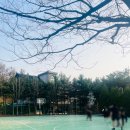 부곡테니스장 이미지