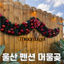 펜션 머물곶 | 간절곶 근처 울산 펜션 머물곶 머쉬룸 후기